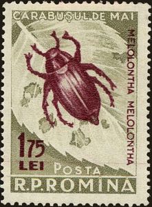 bug stamp
